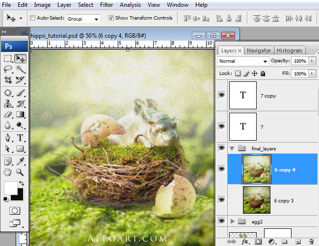 hippo, photoshop, nest, egg, shell, flying hippo, cute, baby, wings, hippopotamus, feathers